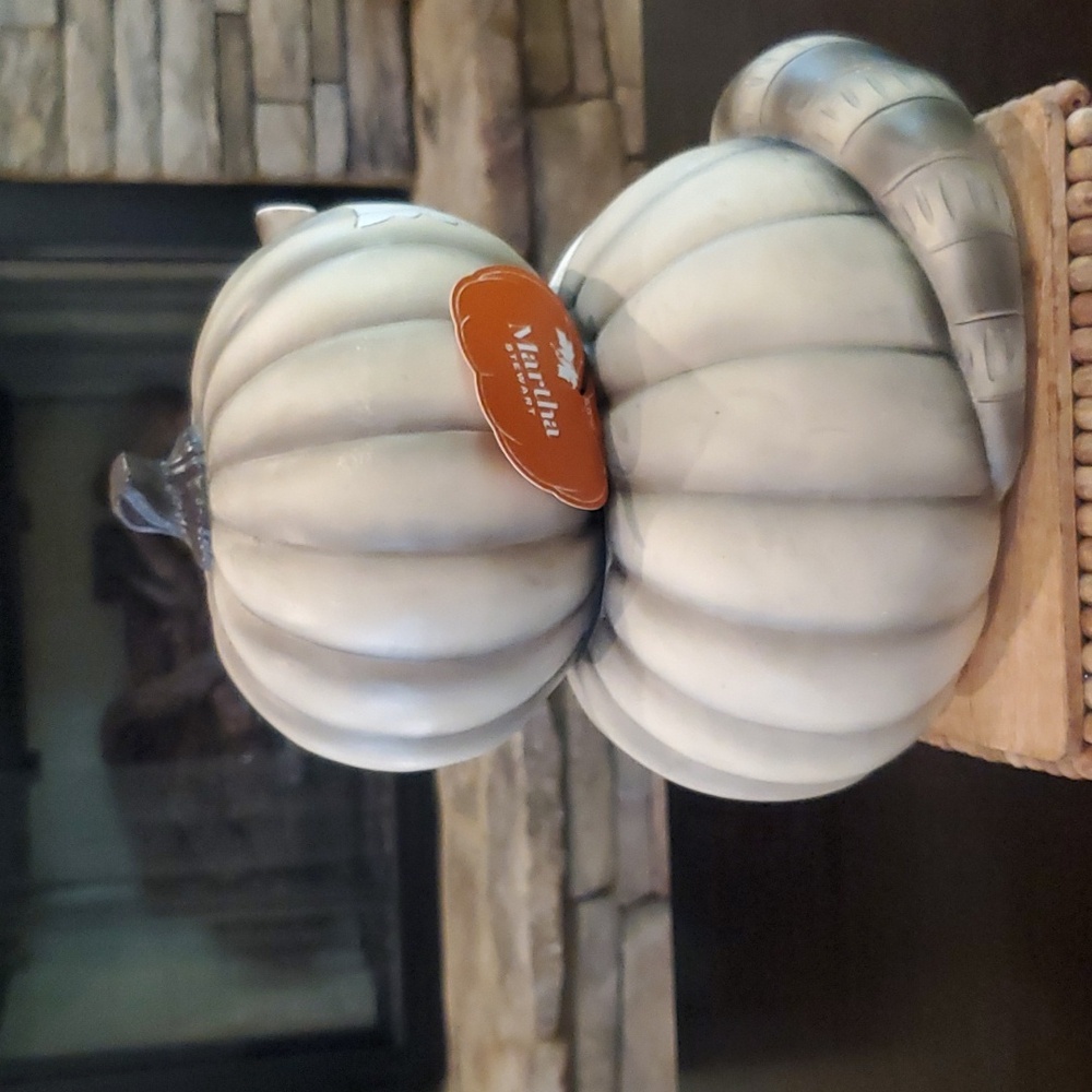 Rustic Pumpkin Racoon-NWT - Picture 4 of 4